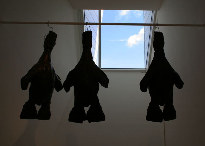 Hanging ducks 2000 Hanging ducks 2000