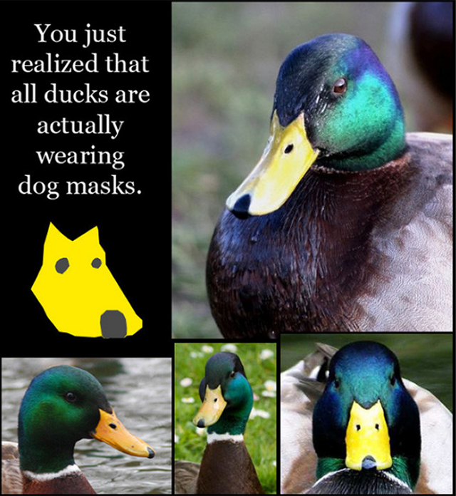 hondjeeenden