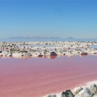 Know Your Classics (5); Robert Smithson Deze man kennen we allemaal, in elk geval van Spiral Jetty. Hij heeft wel meer gedaan dan dat en laat ook een indrukwekkende erfenis achter aan teksten. Hij behandelde daarin...