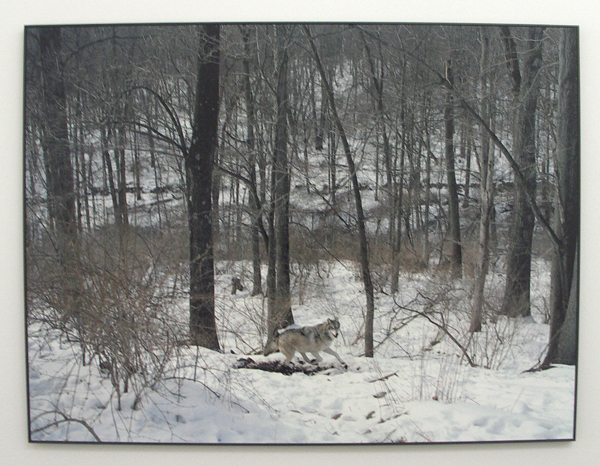 Charlotte Dumas - Untiteld (Running) - C-print Charlotte Dumas - Untiteld (Running) - C-print