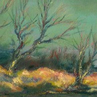 [Jordy was weer iets tegen gekomen en schreef voor ons een mooie post en erg mooie docu, dankjewel Jordy.] Kluizenaars zie je niet. Het zijn dan ook kluizenaars, verstoken van [&hellip;]