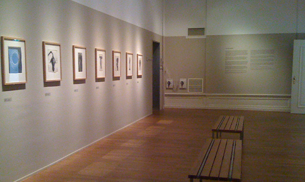 Overzicht Karl Blossfeldt Overzicht Karl Blossfeldt