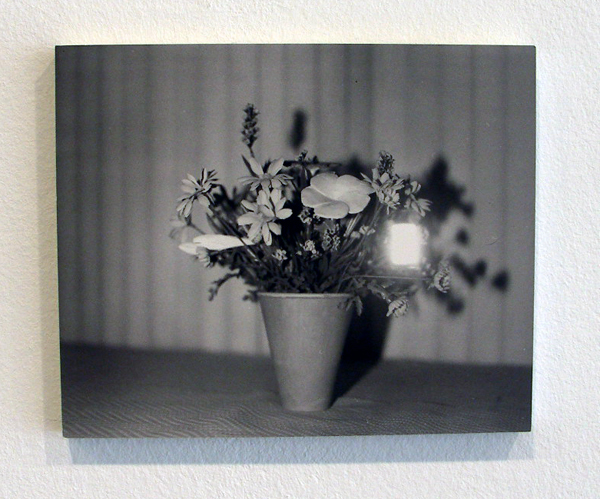 Lydia Weijers - Zonder (titel bloemen in vaas) - 19x23cm Zilvergelatine print op aluminium Lydia Weijers - Zonder (titel bloemen in vaas) - 19x23cm Zilvergelatine print op aluminium