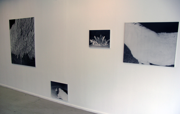 Lydia Weijers - Zonder titels Lydia Weijers - Zonder titels