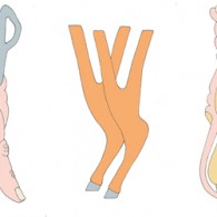 Manon van Trier (1985) maakt gebruik van ieder medium dat ze tegen komt; performance, video. ruimtelijk en tekeningen. Al haar werk lijkt te gaan over de absurditeit van de realiteit, [&hellip;]