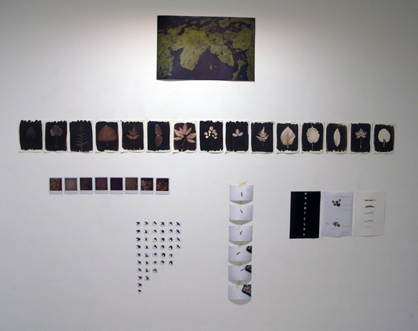 Marie Geene - Diverse Marie Geene - Diverse