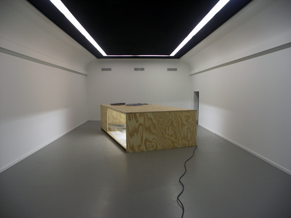 Maurits Koster Maurits Koster