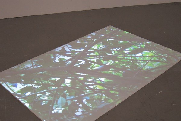 Nicole-Donkers Nicole Donkers