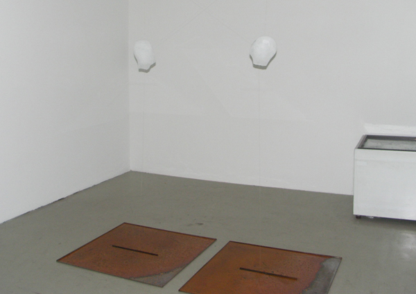 Ronald Bal - Volate Existence II - IJs, metaal, visdraad en vriezer Ronald Bal - Volate Existence II - IJs, metaal, visdraad en vriezer