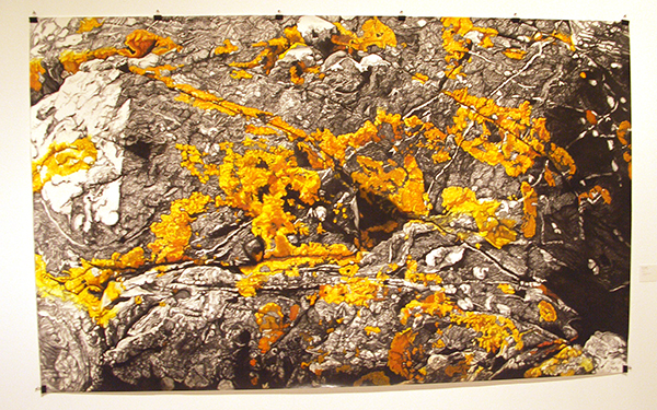 Erik Odijk - Golsa Erik Odijk - Golsa