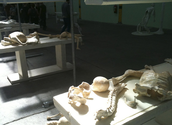 Atelier Van Lieshout Atelier Van Lieshout