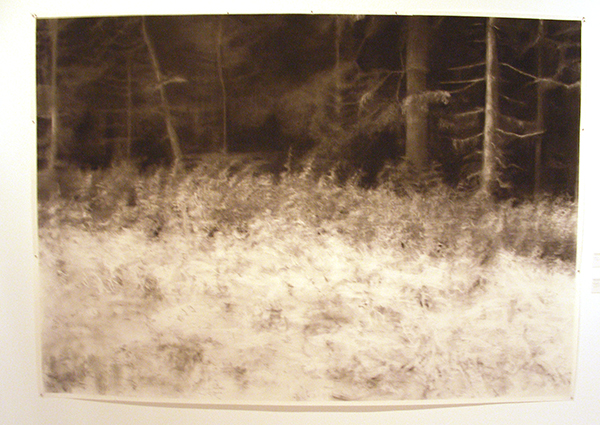 Jasmijn Visser - Cranach Jasmijn Visser - Cranach