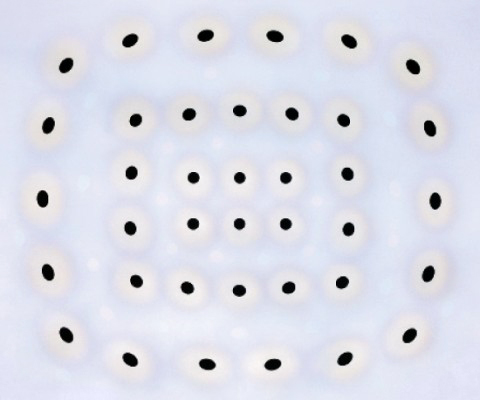 Untitled - 175x210cm Acrylverf op canvas Untitled - 175x210cm Acrylverf op canvas