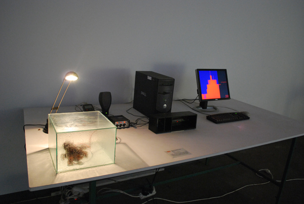 Martin uit den Bogaard