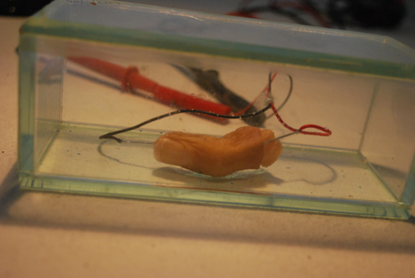 Martin uit den Bogaard - detail