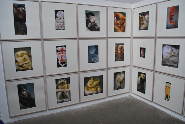 Linda Molenaar Wunder Kammer