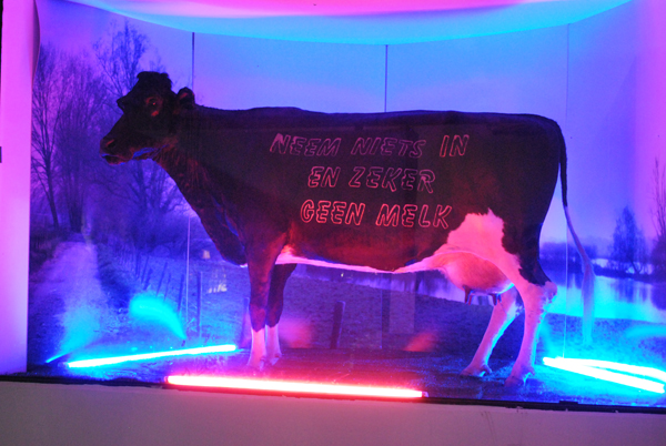 Marion Laval-Jeantet en Benoît Mangin Genetisch gemanipuleerde koe verwordt tot kunst