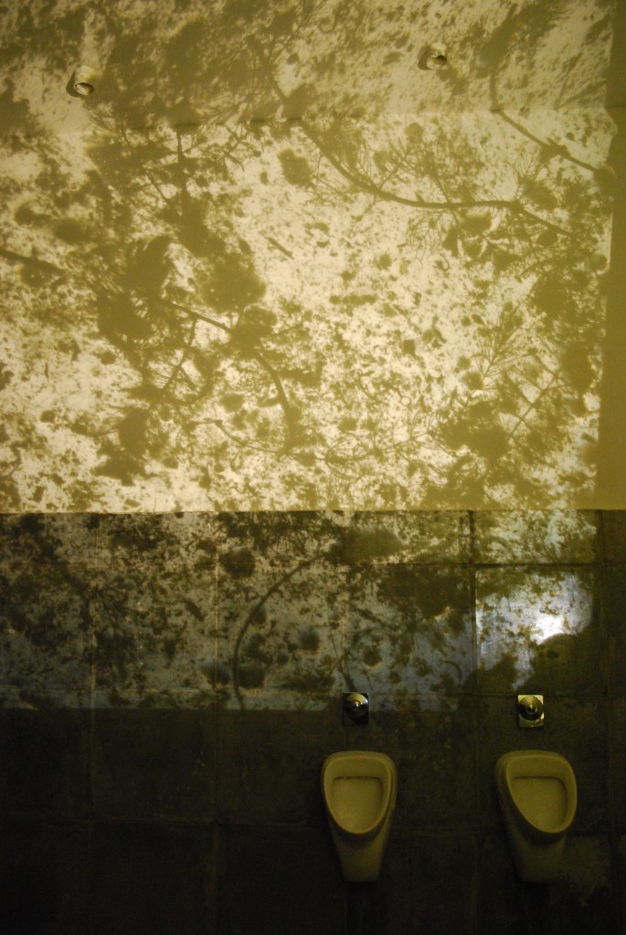 Egied Simons Allemaal beestjes op het toilet