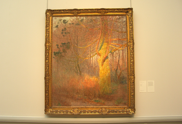 Emile Claus - Zonnige boom Emile Claus - Zonnige boom