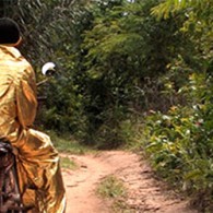 Tent heeft momenteel nog een paar dagen de tentoonstelling Paramaribo Perspectives. Hoe en waarom vatten ze zelf als volgt samen; Van 1o september tot en met 7 november 2o1o presenteert [&hellip;]