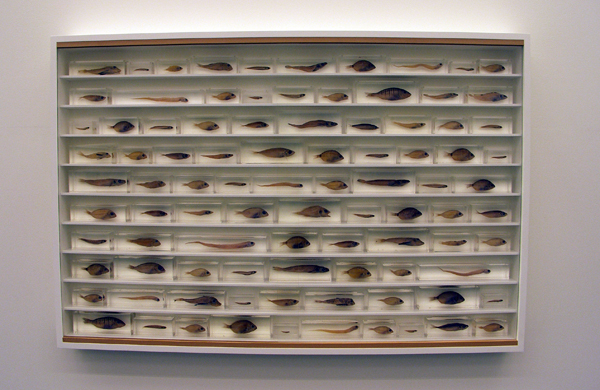 Damien Hirst - With You Damien Hirst - With You