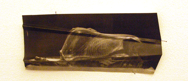 Marien Schouten Marien Schouten