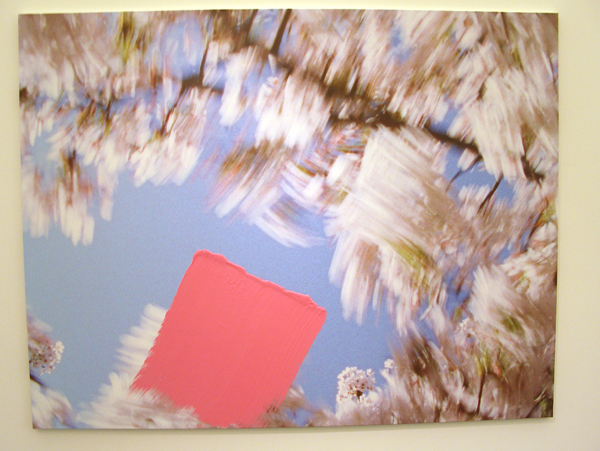 Marijke van Warmerdam - Blossom, Sweep Marijke van Warmerdam - Blossom, Sweep