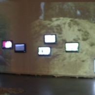 Ook in het Stedelijk van Den Bosch is momenteel tot 10 april werk van Renée van Trier (1983) te zien. Helaas heb ik daar, vanwege de aard van het werk, [&hellip;]