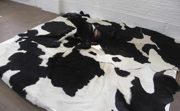 Idiots - No title, no status Idiots - No title, no status