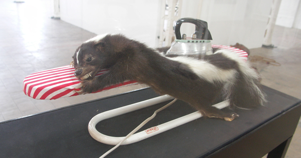 Idiots - Don’t worry we’ll straighten him out! Idiots - Don’t worry we’ll straighten him out!