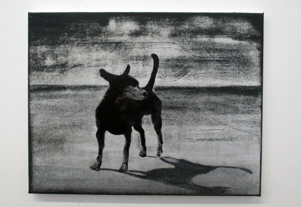 Cokkie Snoei - Peter Rederf Cokkie Snoei - Peter Rederf