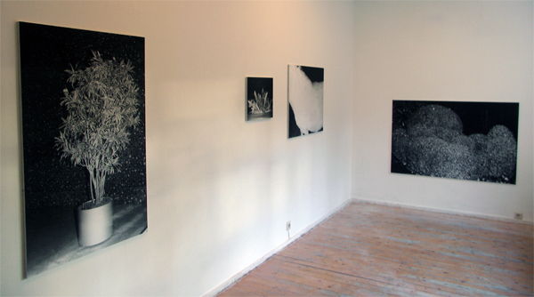 Lydia Weijers Lydia Weijers