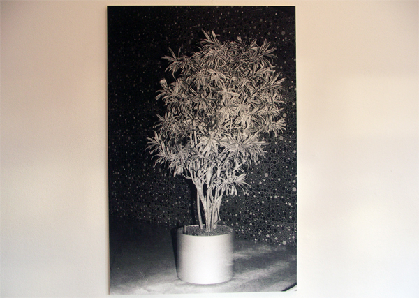 Lydia Weijers - Zonder titel - Zlivergelatine print Lydia Weijers - Zonder titel - Zlivergelatine print