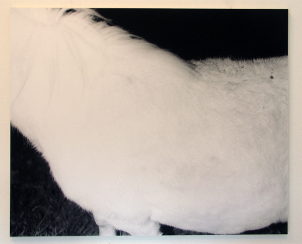 Lydia Weijers - Zonder titel - Zlivergelatine print Lydia Weijers - Zonder titel - Zlivergelatine print