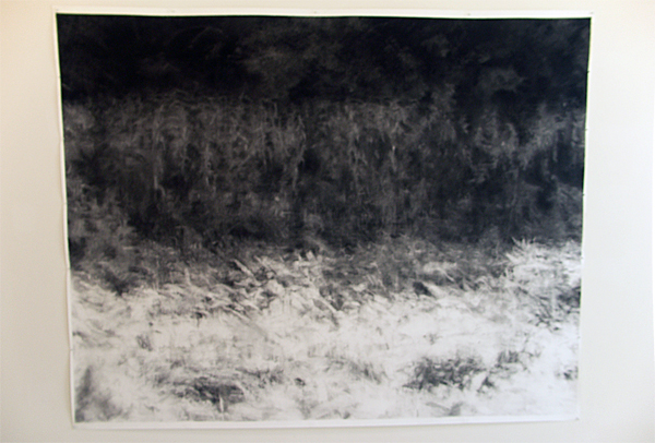 Renie Spoelstra - Recreatiegebied#36 Renie Spoelstra - Recreatiegebied#36