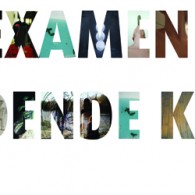 Het einde van het academiejaar nadert en dus ook de eindexamen exposities. Hier voor iedereen een overzichtelijke lijst wanneer welke academie zijn expositie heeft. We zoeken nog mensen die eindexpo’s [&hellip;]