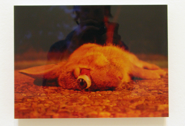 Ibo Pompe - Comfortbly Numb - foto (Pink Floyd - Comfortbly Numb) Ibo Pompe - Comfortbly Numb - foto (Pink Floyd - Comfortbly Numb)