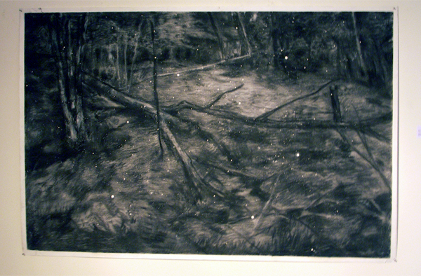 Sven Verhaeghe - Sumpf Feuer - 150x100cm Houtskool op papier Sven Verhaeghe - Sumpf Feuer - 150x100cm Houtskool op papier