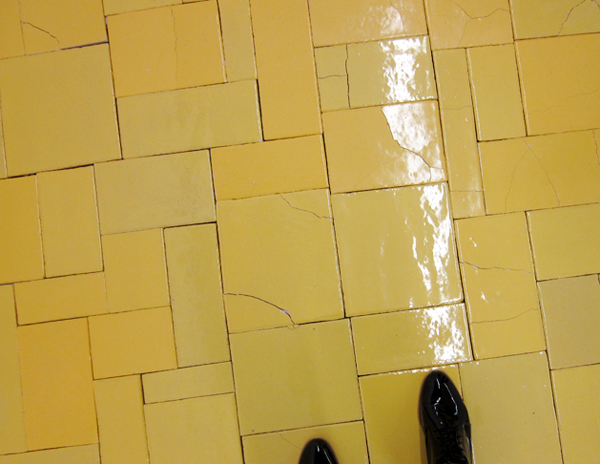 Jasmin Djerzic Jasmin Djerzic