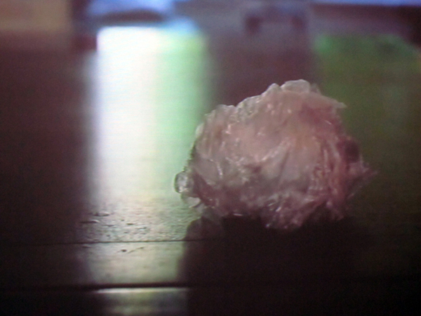 Eveline Nieuwveld Eveline Nieuwveld