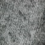 Lisanne Kuijk (detail)