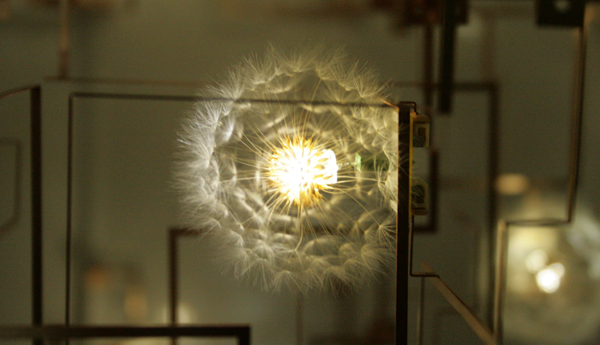 Lonneke Gordijn & Ralph Nauta - Fragile Future 3,5 (detail) Lonneke Gordijn & Ralph Nauta - Fragile Future 3,5 (detail)