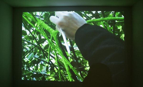 Nicole Donkers - Trace Green Nicole Donkers - Trace Green