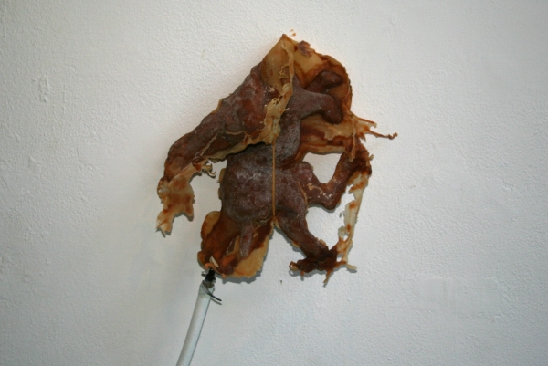 Tommy van der Loo, 'Laatste mislukking' Tommy van der Loo