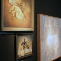 Op de bovenverdieping van het MMKA was een thematentoonstelling, samengesteld uit eigen collectie omtrent het thema dood. Een thema dat me persoonlijk wel ligt. Daarbij heeft het MMKA een mooie [&hellip;]