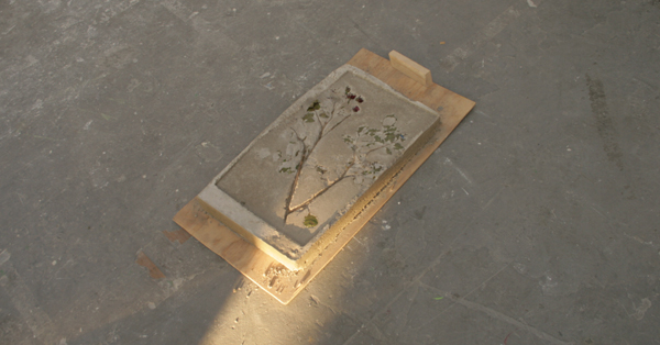 Tilman Hornig Tilman Hornig