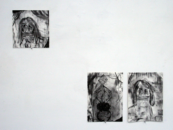 Daniel Jensen - Effigy & Crystal & Bird Collector - 26x25cm & tweemaal 35x25cm Houtskool op papier Daniel Jensen - Effigy & Crystal & Bird Collector - 26x25cm & tweemaal 35x25cm Houtskool op papier