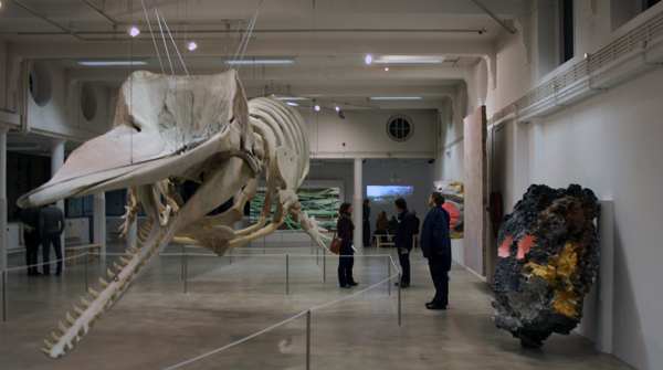 Natuurmuseum Reinoud van Vught en Huub van der Loo Natuurmuseum Reinoud van Vught en Huub van der Loo