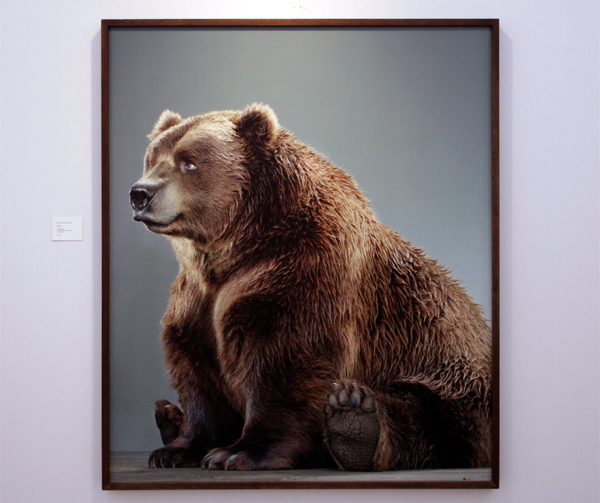 Jaski Art Gallery - Jill Greenberg Jaski Art Gallery - Jill Greenberg