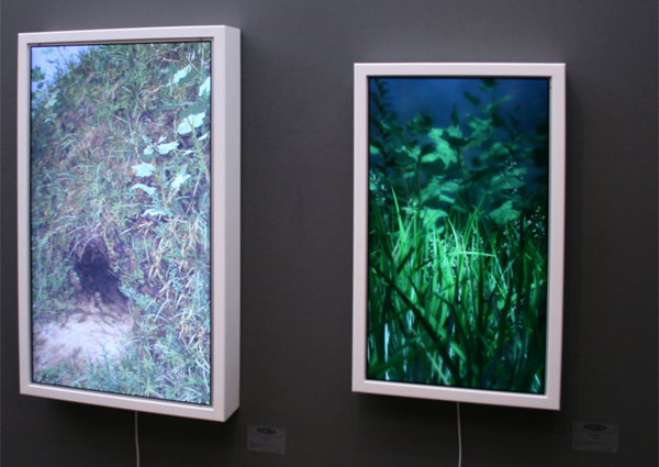 Torch - Eelco Brand Torch - Eelco Brand